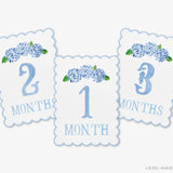 Blue Hydrangea Scalloped Monthly Milestone Cards