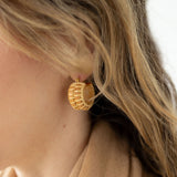 Double Stave Earrings