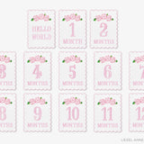 Pink Hydrangea Scalloped Monthly Milestone Cards