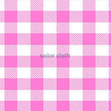 Cricket Sleeveless Dress - Gingham Hot Pink/White