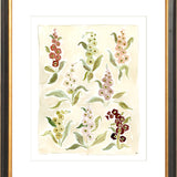 The "Herbarium Reds" Florilegium Series, Fine Art Print