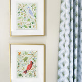 The "Cardinal" Fine Art Print