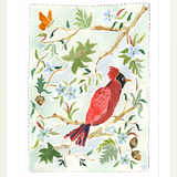The "Cardinal" Fine Art Print
