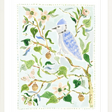 The "Blue Jay" Fine Art Print