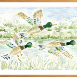 The "Mallard Ball" Fine Art Print