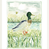 The "Mallard Walk" Fine Art Print