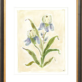 The "Iris Study" Florilegium Series, Fine Art Print