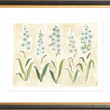 The "Delphinium" Florilegium Series, Fine Art Print
