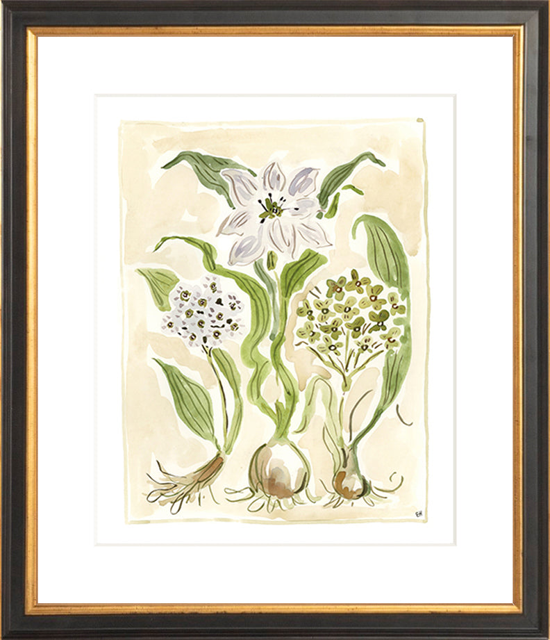 The "Ivory Garden" Florilegium Series, Fine Art Print