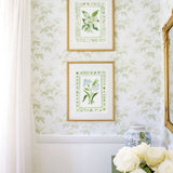 The "Botanical Rainbow Mint" Fine Art Print