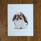 Bunny Print