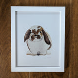 Bunny Print
