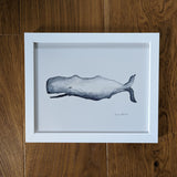 Whale Print