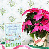 Santa Paws is Coming to Town Card