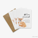 Corgi Moving Announcement
