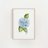 Hydrangea Print