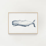 Whale Print