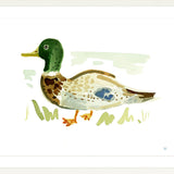 The "Duck No. 4" Fine Art Print