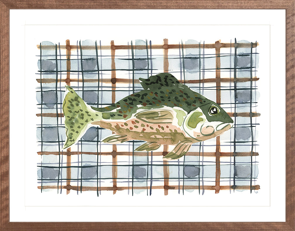 The "Plaid Pacific Fish" Watercolor Animal Fine Art Print