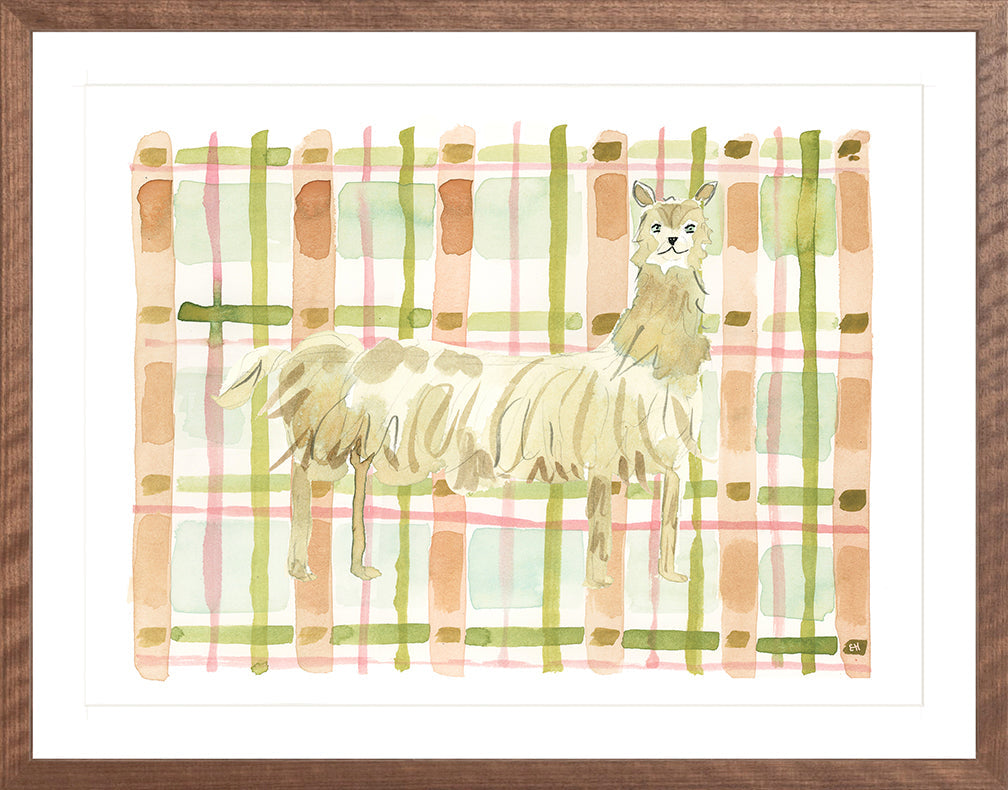 The "Plaid Llama" Watercolor Animal Fine Art Print