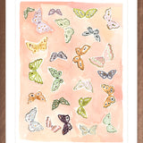 Butterfly Rainbow Coral, Fine Art Print