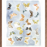 Butterfly Rainbow Chambray, Fine Art Print