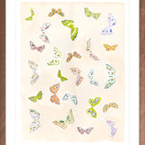 Butterfly Rainbow Blush, Fine Art Print