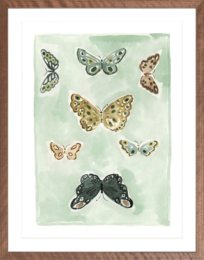 Butterfly Rainbow Mint, Fine Art Print