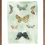 Butterfly Rainbow Mint, Fine Art Print