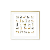 ABC Dogs, Fine Art Print