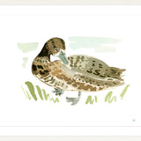 The "Duck No. 2" Fine Art Print