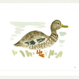 The "Duck No. 3" Fine Art Print