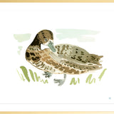 The "Duck No. 2" Fine Art Print