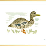 The "Duck No. 3" Fine Art Print