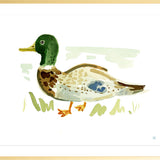 The "Duck No. 4" Fine Art Print