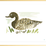 The "Duck No. 1" Fine Art Print