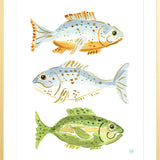 The "Fish School No. 3" Watercolor Fish Fine Art Print