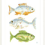 The "Fish School No. 3" Watercolor Fish Fine Art Print