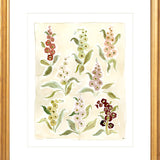 The "Herbarium Reds" Florilegium Series, Fine Art Print