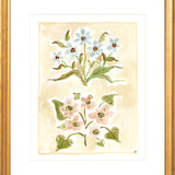 The "Pressed Petals" Florilegium Series, Fine Art Print
