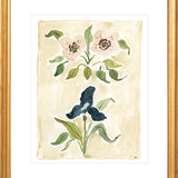 The "Heirloom Blooms" Florilegium Series, Fine Art Print