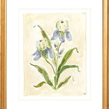 The "Iris Study" Florilegium Series, Fine Art Print