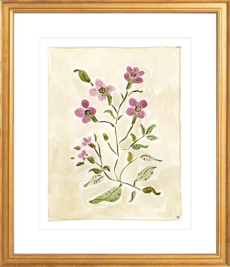 The "Cosmos Conservatory" Florilegium Series, Fine Art Print