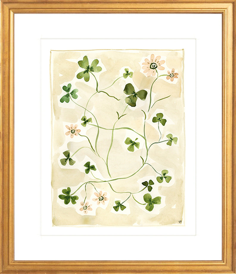 The "Daisy Chain" Florilegium Series, Fine Art Print