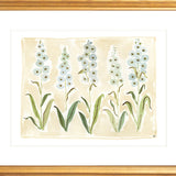 The "Delphinium" Florilegium Series, Fine Art Print