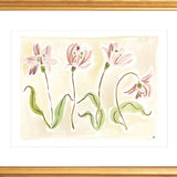 The "Tulip Study" Florilegium Series, Fine Art Print