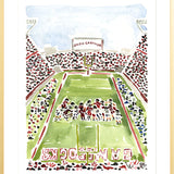 "Williams-Brice Stadium" Fine Art Print
