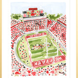 "Carter-Finley Stadium" Fine Art Print