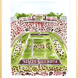 "Doak S. Campbell Stadium" Fine Art Print