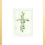 "Lily Cross" Fine Art Print